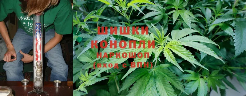 Конопля SATIVA & INDICA  кракен ссылки  Алушта 